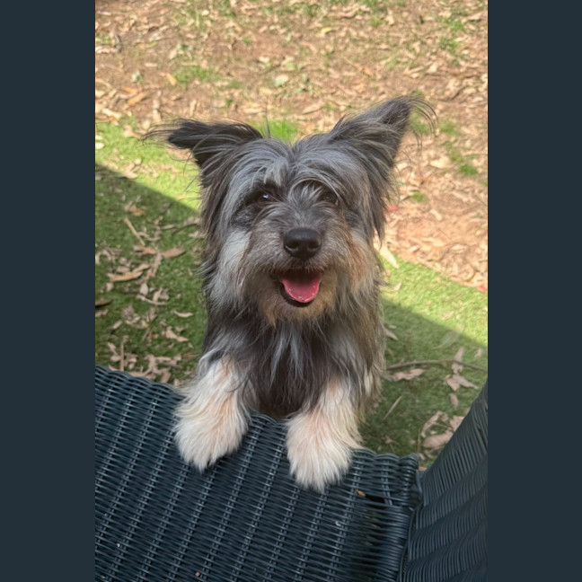 Photo of Oakley