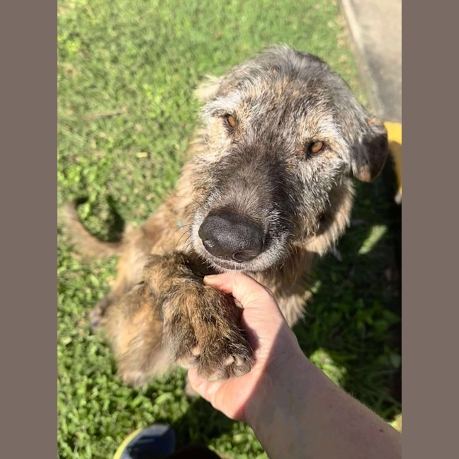 Photo of Coco & Rome 