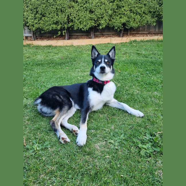 Photo of Zuri Mitrovic