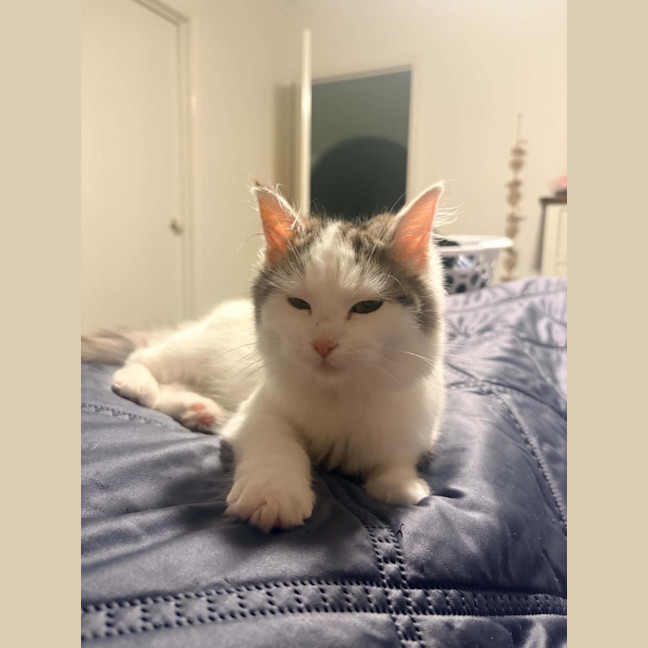 Photo of Kevin 