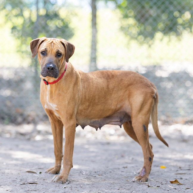 Photo of Dayna (Donya)