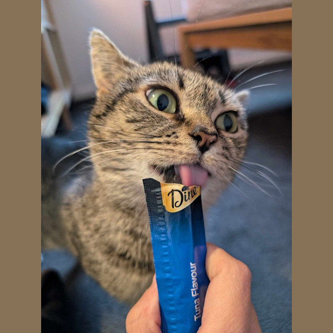 Photo of 💖Rin!!💖