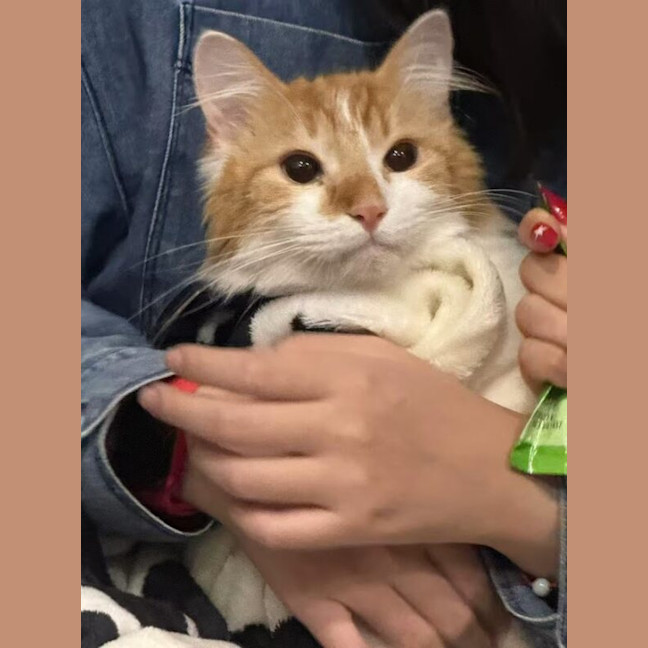 Photo of Tony Pepperoni