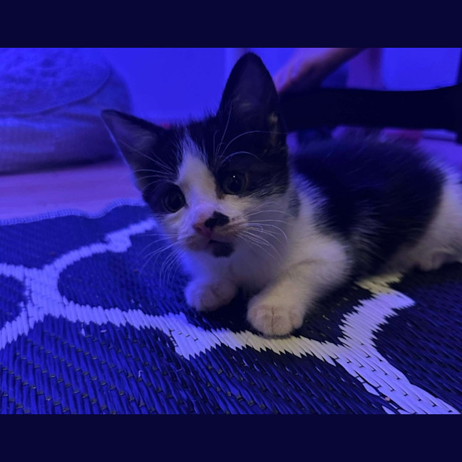 Photo of Katara