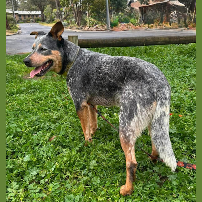 Photo of Wally 