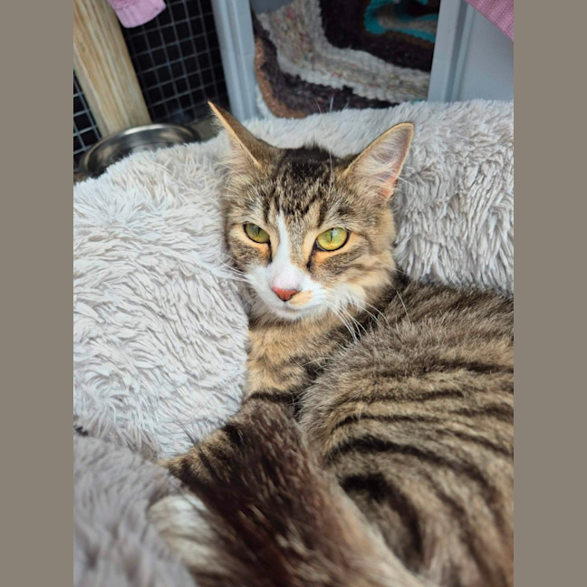 Photo of Bailey!  👑 