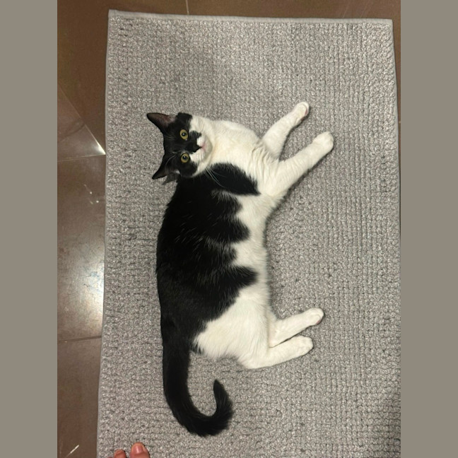 Photo of Nova