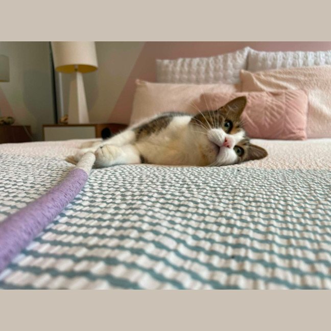 Photo of Mimi   In Foster Care In Macleod