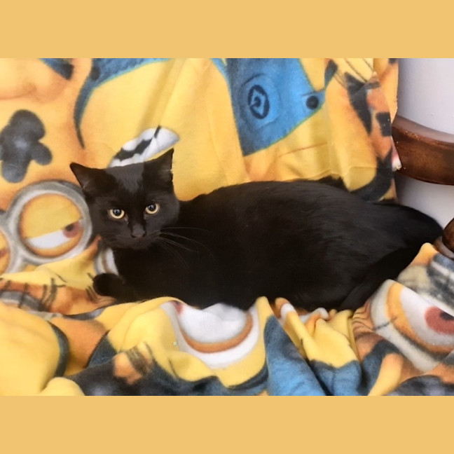 Photo of Layla