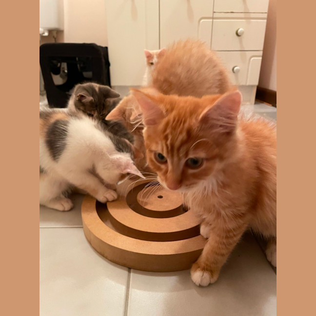 Photo of Tobias 💙