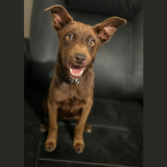 Photo of Xena 