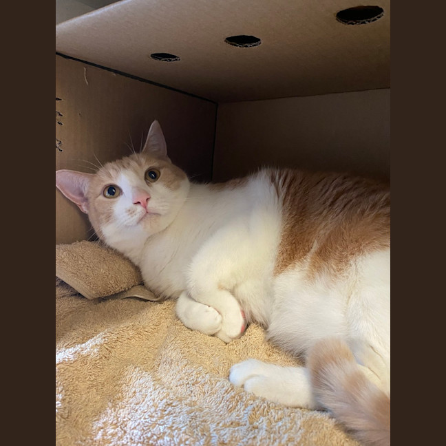 Photo of Percy