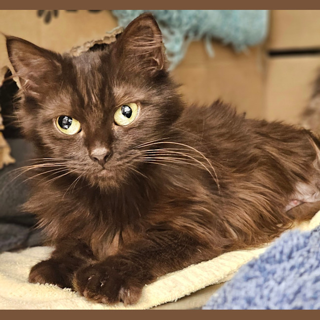 Photo of Galinda