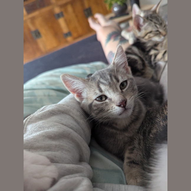 Photo of Maya Scotty