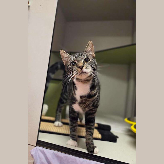 Photo of Pogie