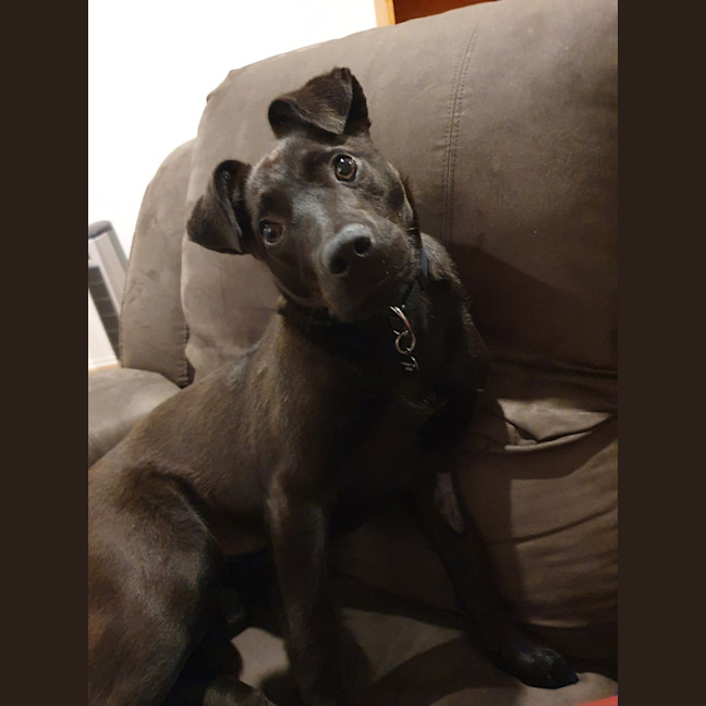 Photo of Darla