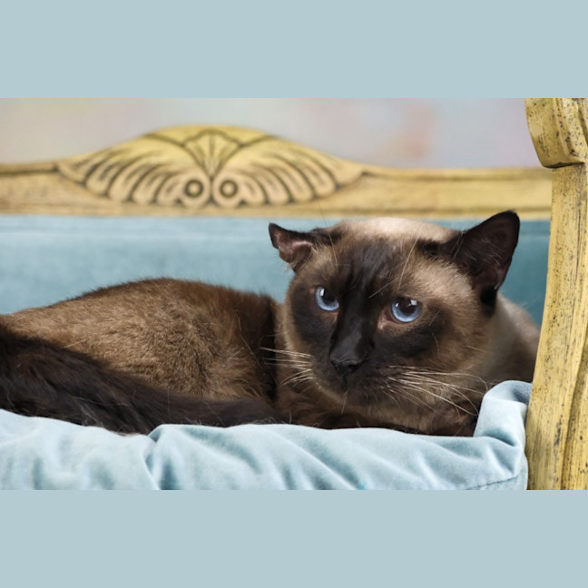 Photo of Skadi And Freya