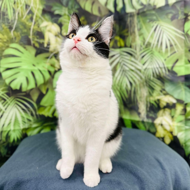 Photo of Asha   Located In Preston