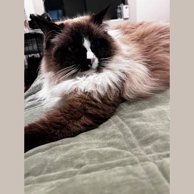 Photo of Oliver
