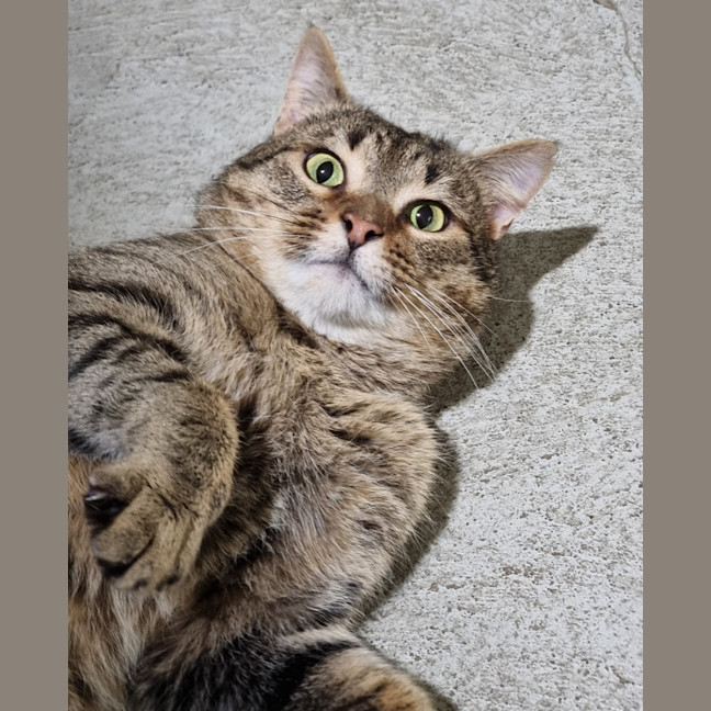 Photo of Gordon
