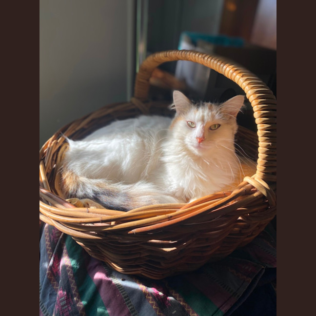Photo of Winnie 😘