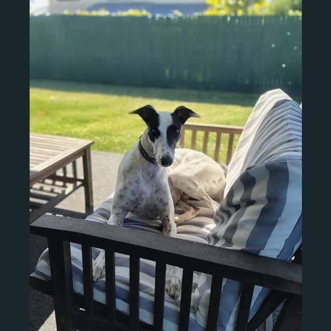 Photo of Roger