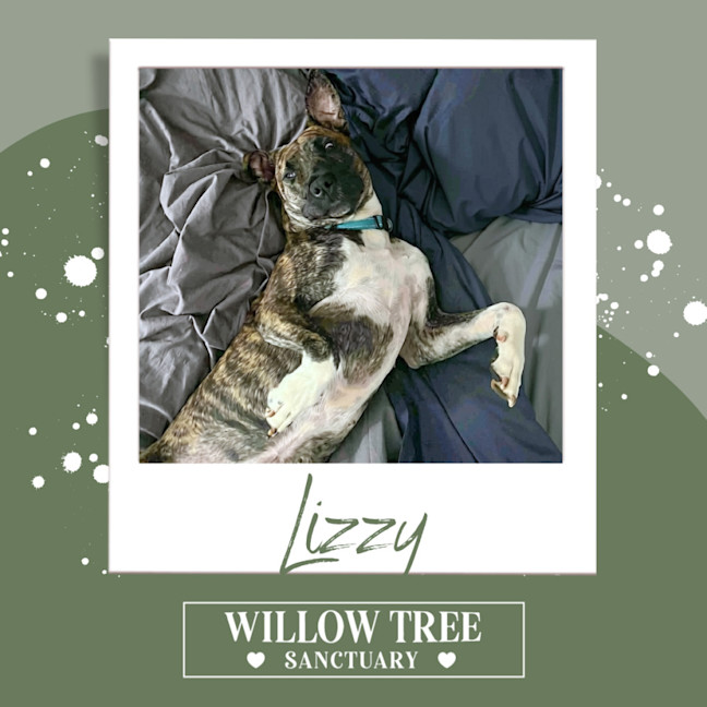 Photo of Lizzy