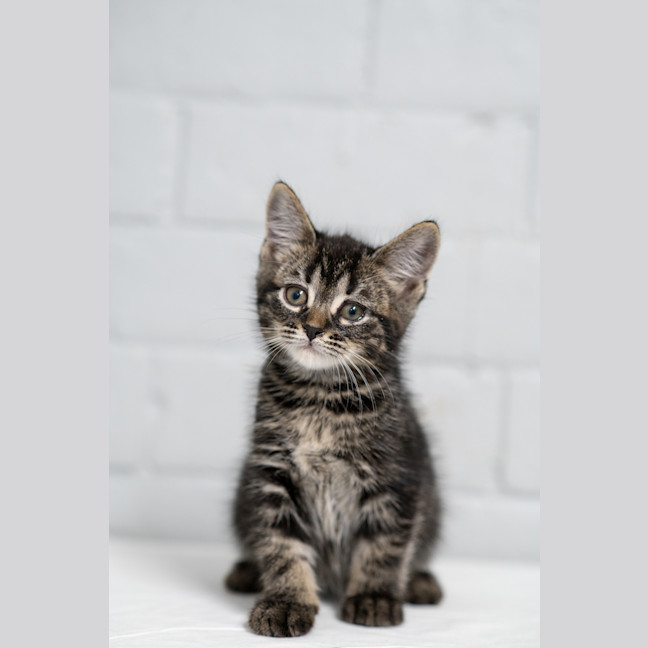 Photo of Tom