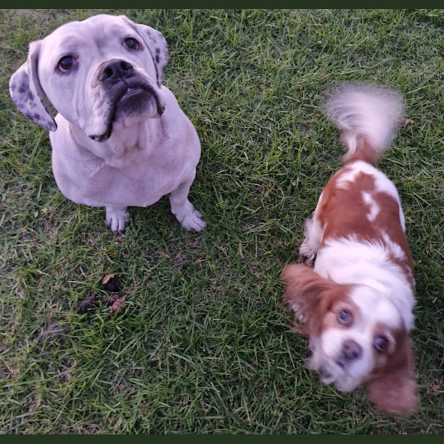 Photo of Puck