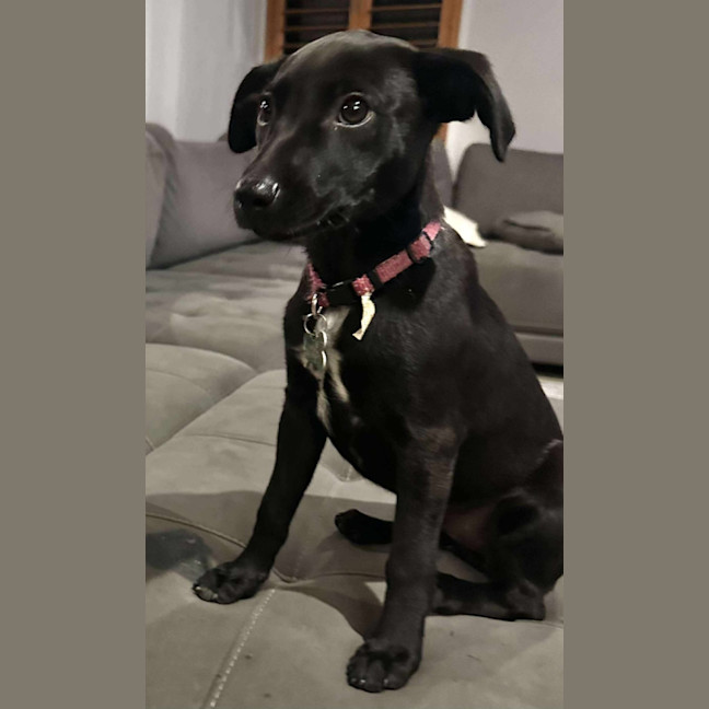 Photo of Vera