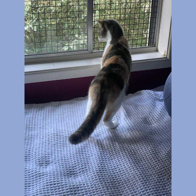 Photo of Jazzi ❤️