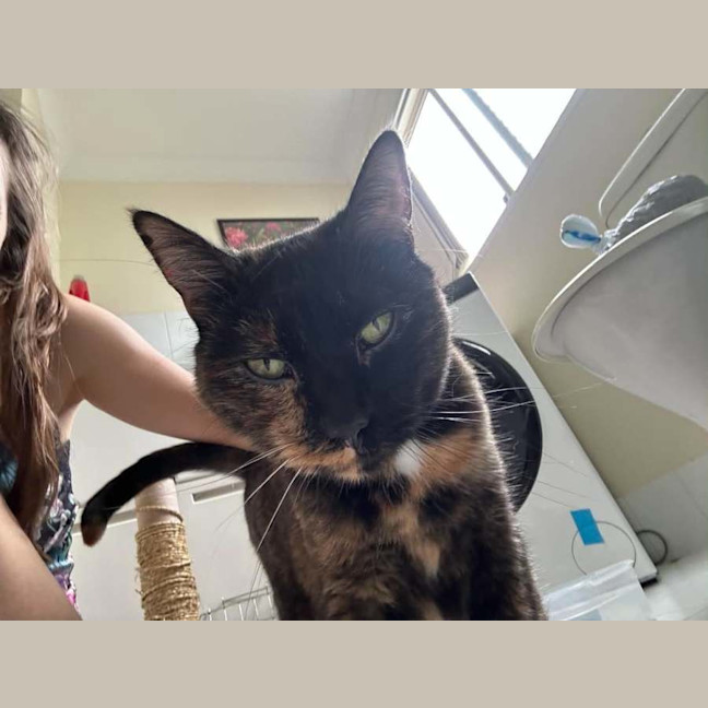Photo of Lucy