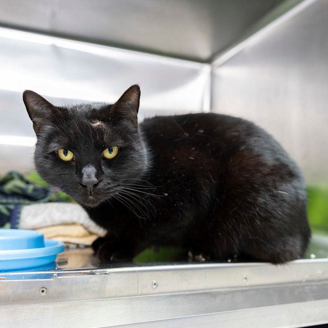 Photo of Mr Butterbean