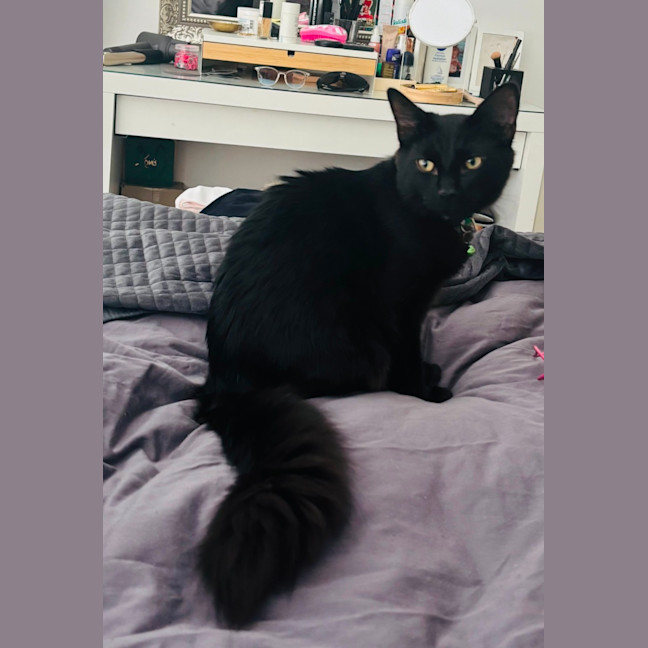 Photo of Watson