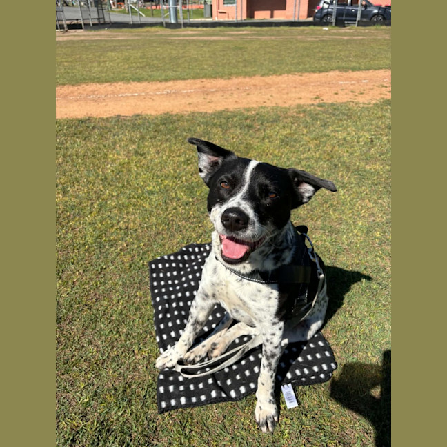 Photo of Duke