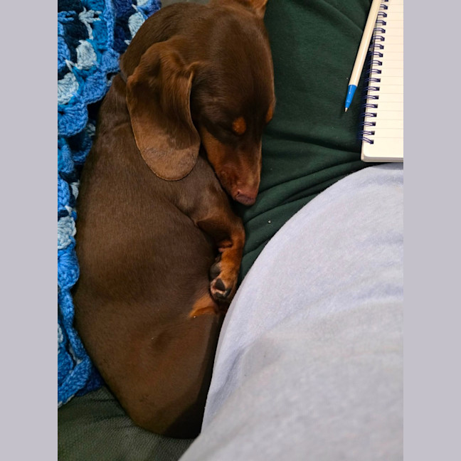 Photo of Georgie