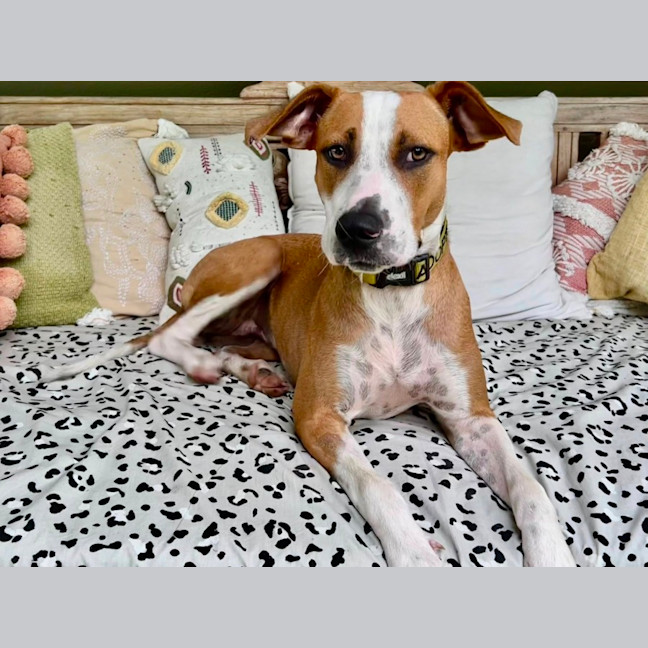 Photo of Grace