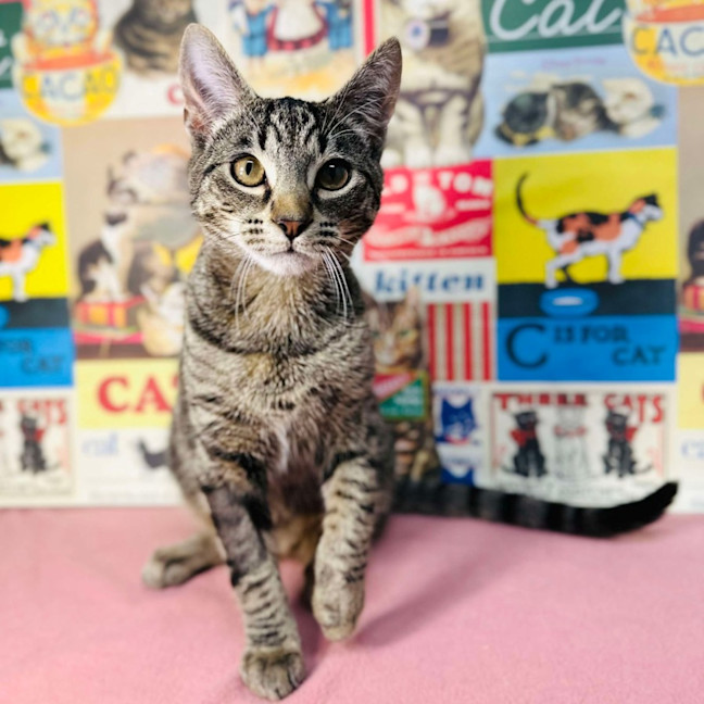 Photo of Lyle   Located In Preston 