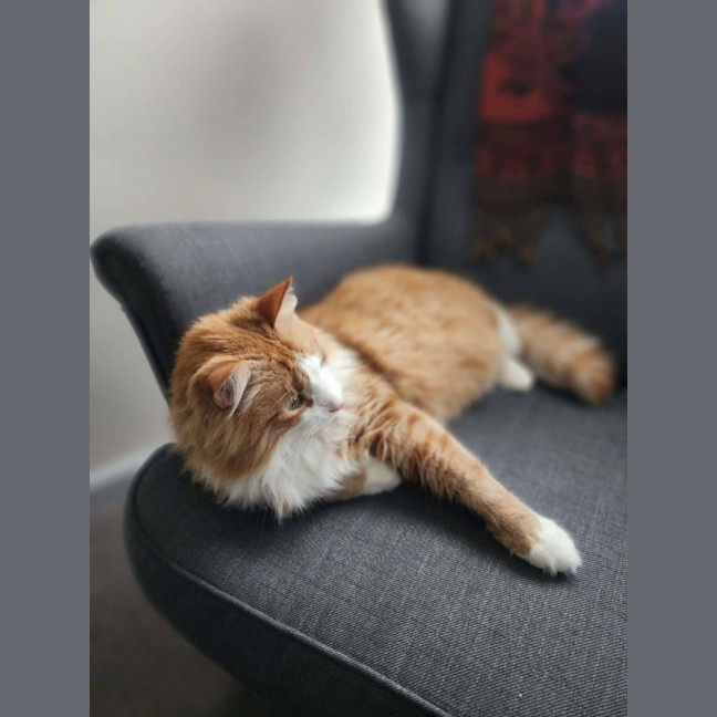 Photo of Baxter