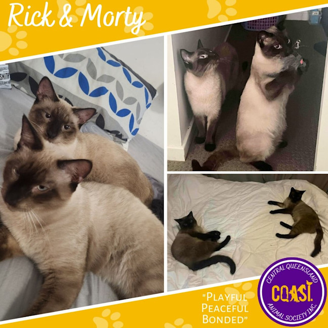 Photo of Rick / Morty