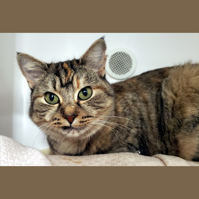 Photo of Angel Sta013324