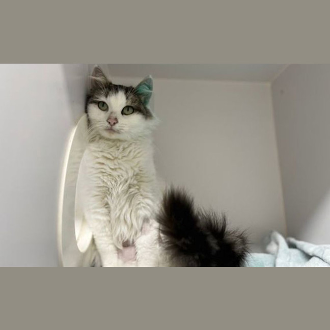 Photo of Mollly