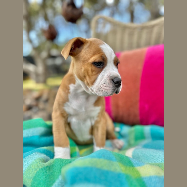 Photo of Swatch