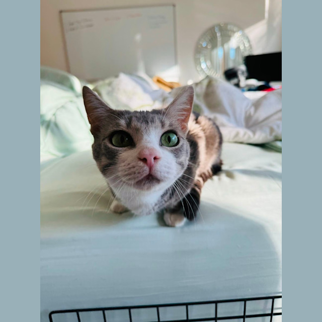 Photo of Emmie