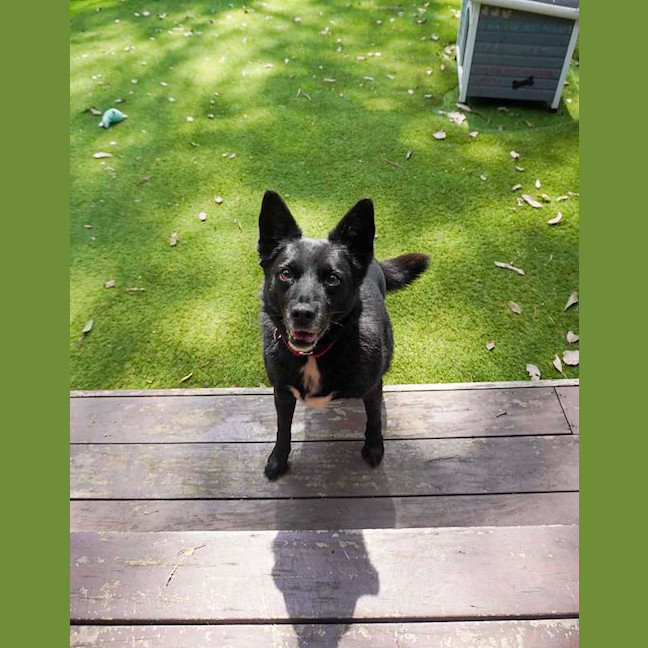 Photo of Roxy