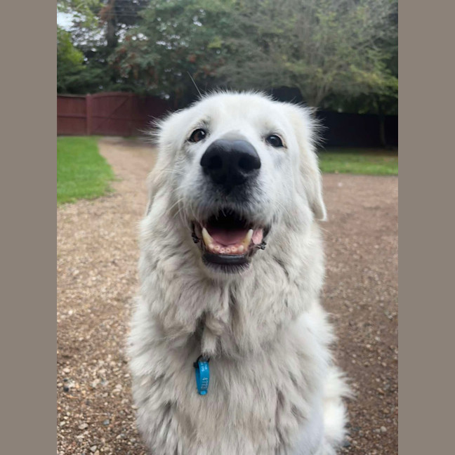 Photo of Nellie