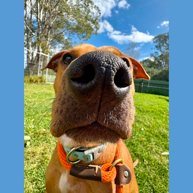 Photo of Delilah