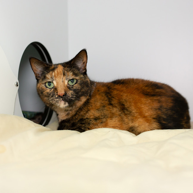 Photo of Leia