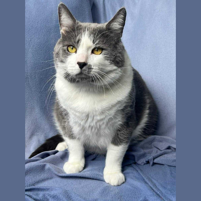 Photo of Don   In Foster Care In Mernda