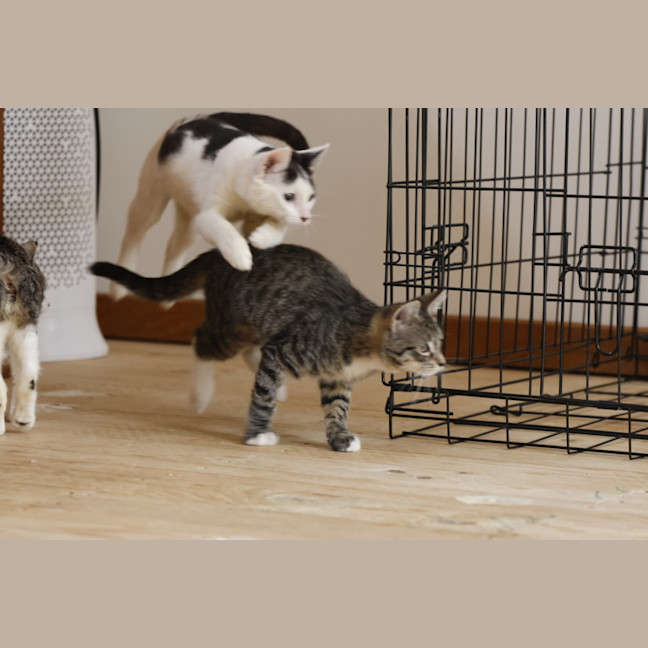 Photo of 💖💖💖Sage, T1 And W💖💖💖